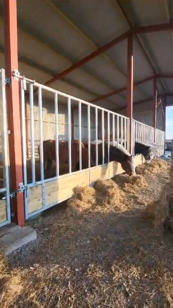 Horse Feed Barrier