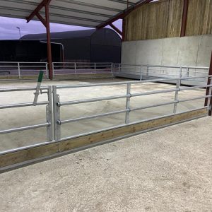 Calf Feed Barrier - Condon Engineering