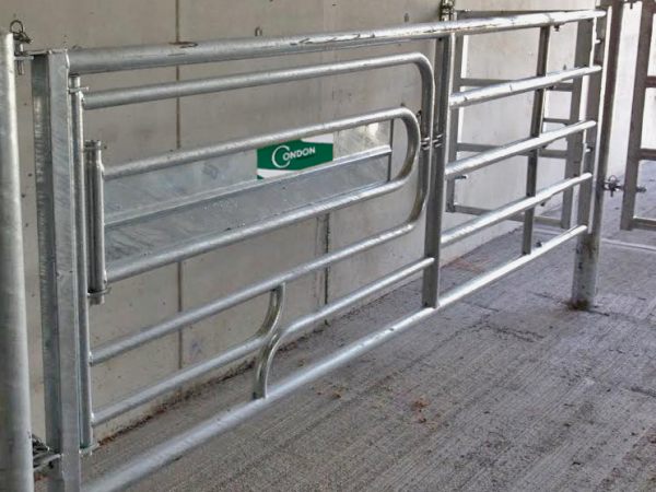 Calving Support Gate