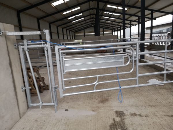 Suckler Calving Gate