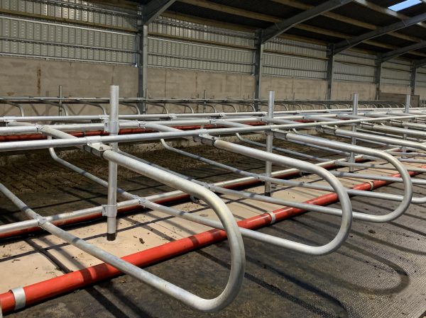 Calf Cubicles