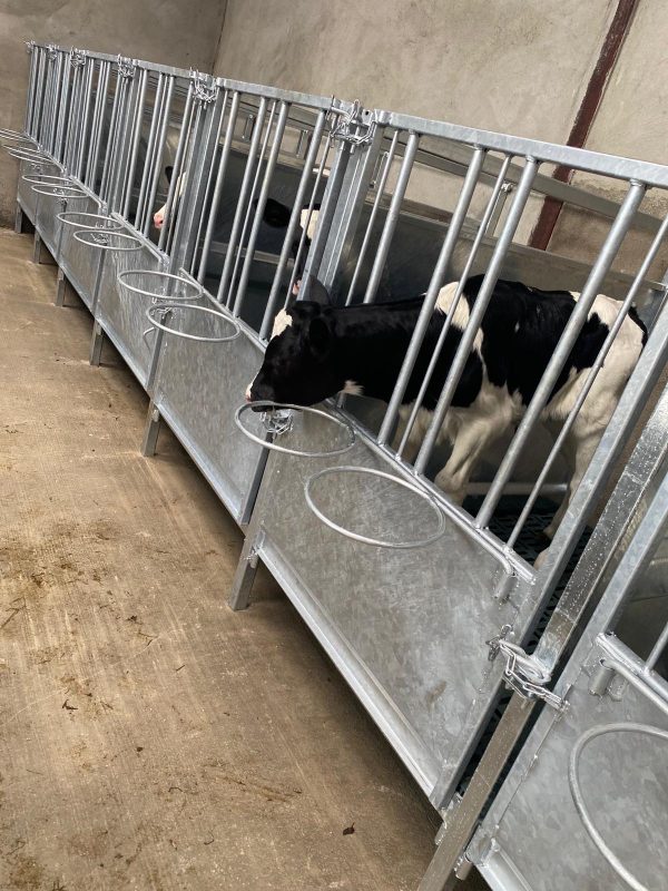 Individual Calf Pen