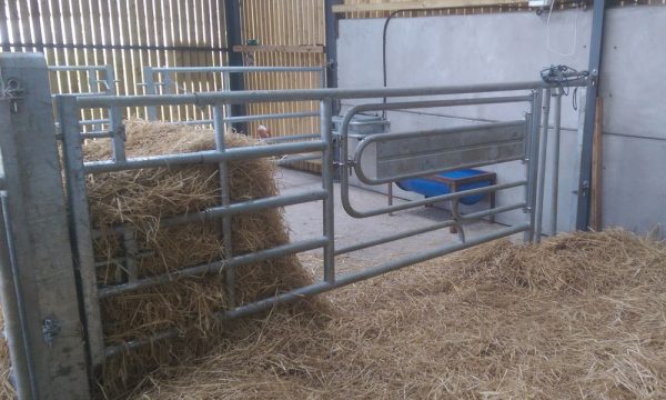 3 In 1 Calving Gate