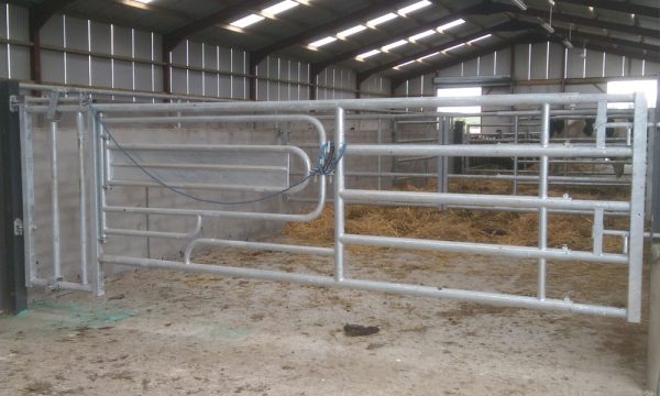 3 In 1 Calving Gate