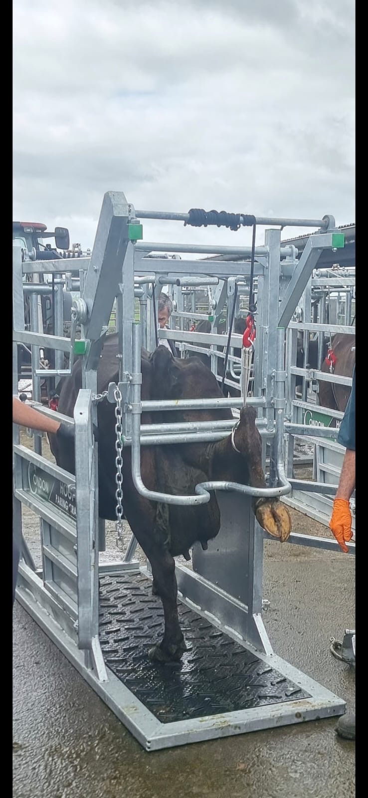 Hoof Paring Crate