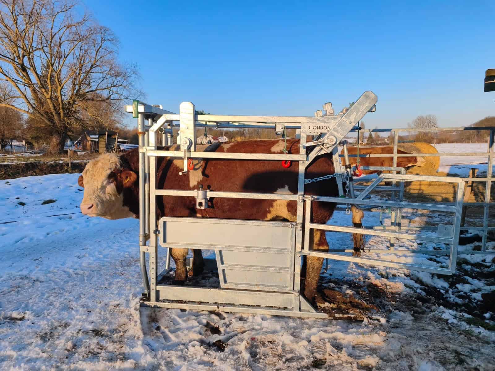 Hoof Paring Crate