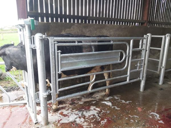 Calving Support Gate