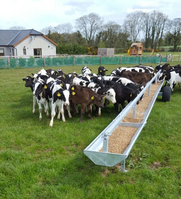 30ft Mobile Calf Trough