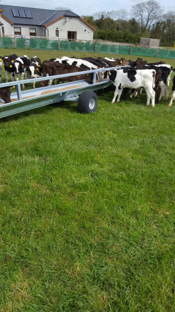 30ft Mobile Calf Trough