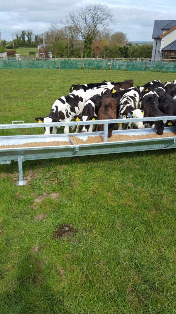 30ft Mobile Calf Trough