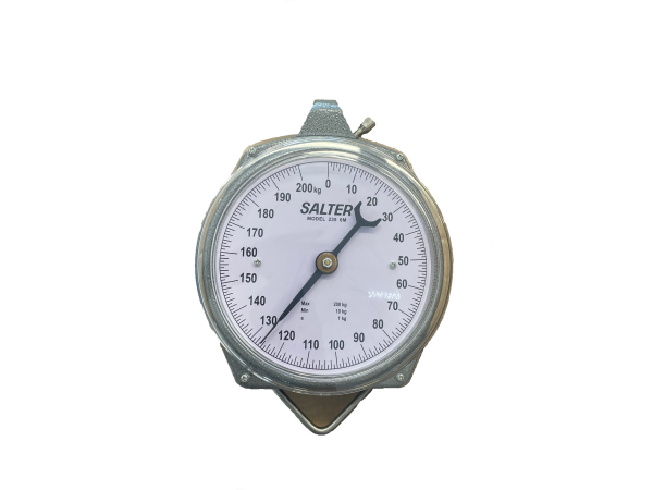 Salter Analog Clock