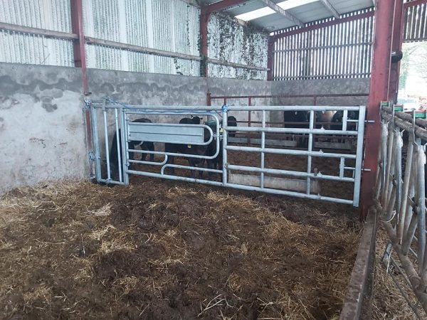 3 In 1 Calving Gate