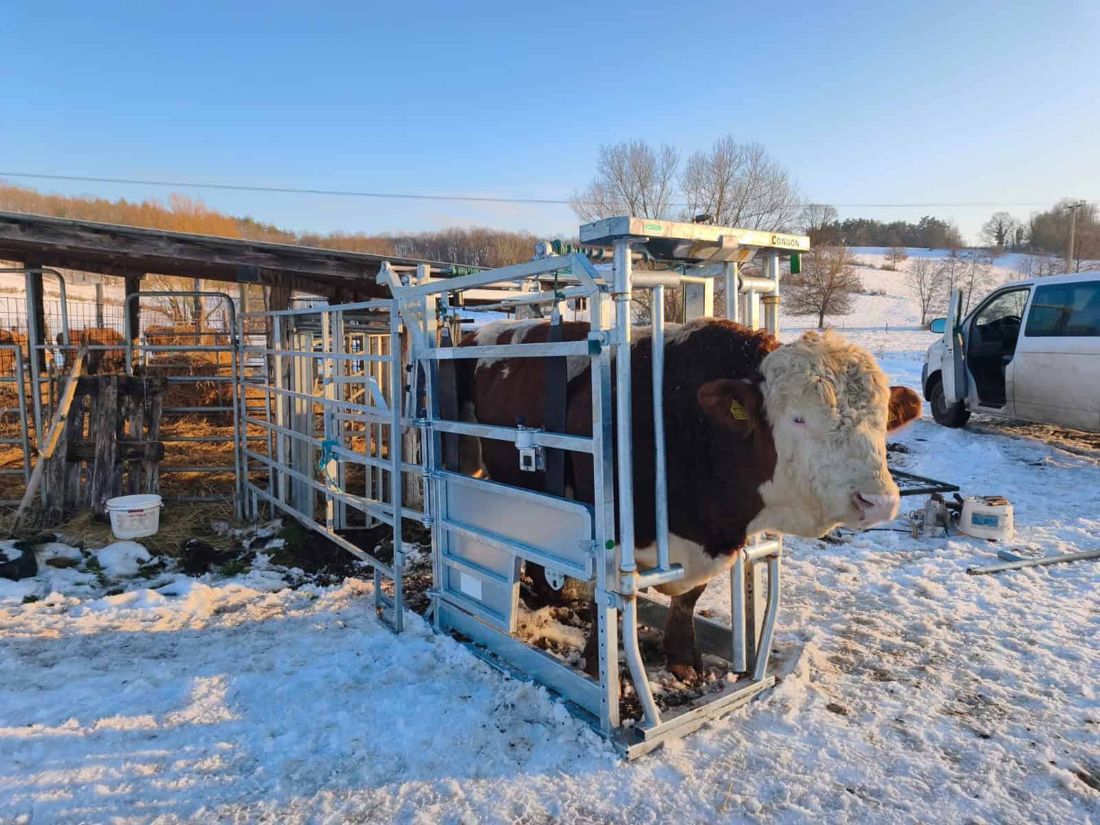 Hoof Paring Crate