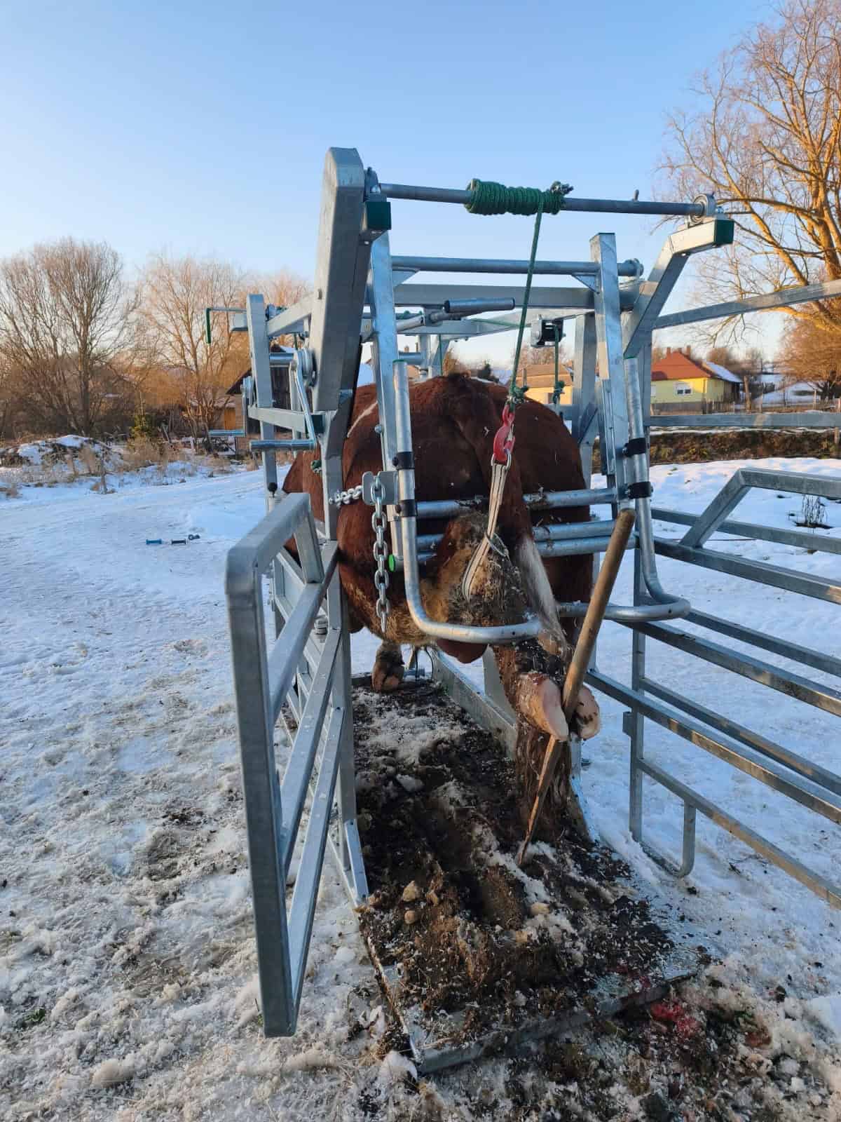 Hoof Paring Crate