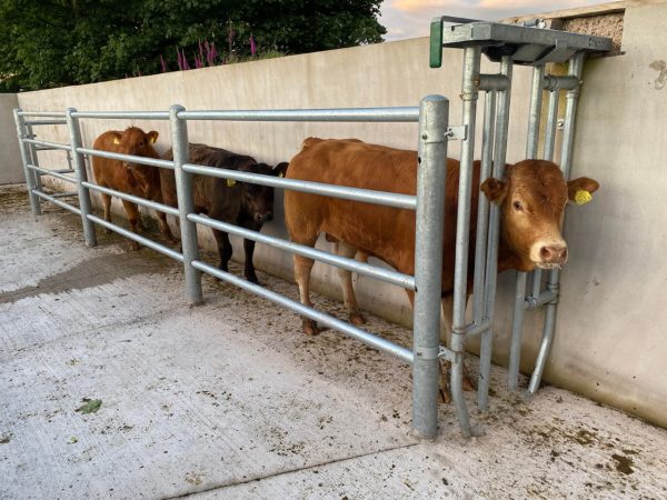 Semi-Auto Head Gate