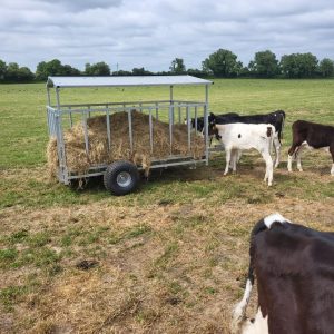 Feeders & Troughs