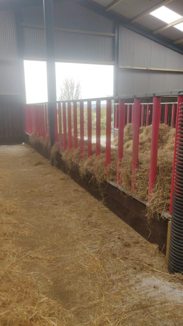 Horse Feed Rail