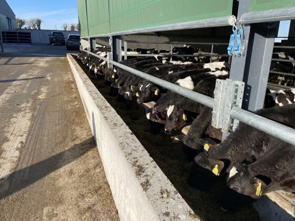 Single Feed Rail Barrier