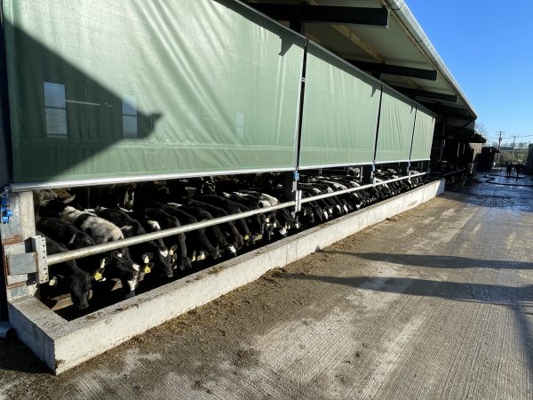 Single Feed Rail Barrier