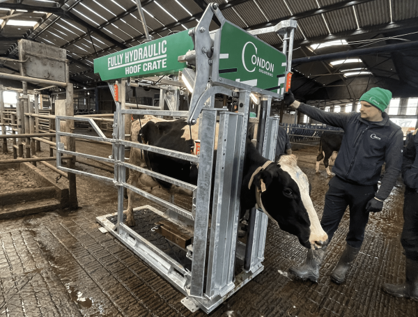 Fully Hydraulic Hoof Crate