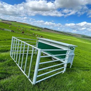 Feeders & Troughs